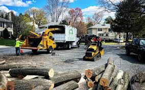 Best Leaf Removal  in Excelsior Springs, MO